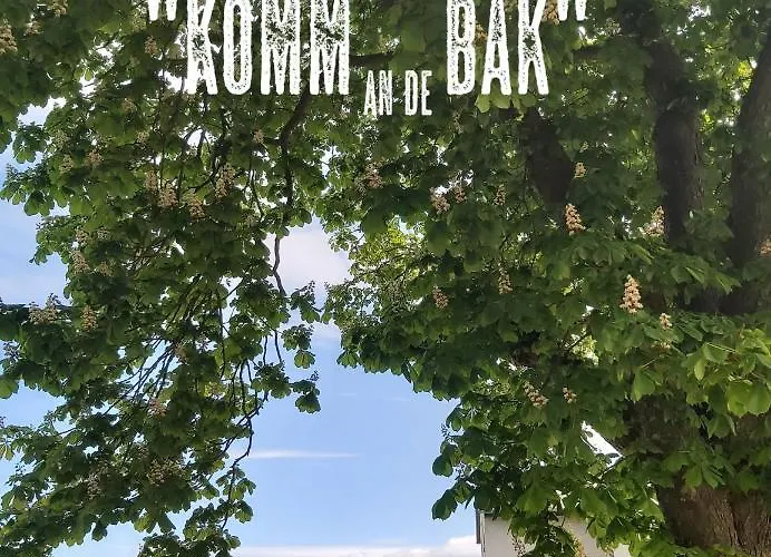 Hébergement de vacances Ecki's 